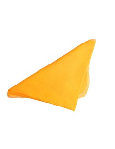 Paño para sacudir de Franela Naranja 2